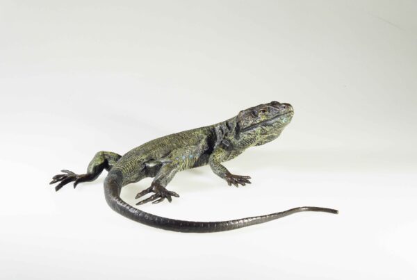 Lizard, Viennese bronze, Bergmann