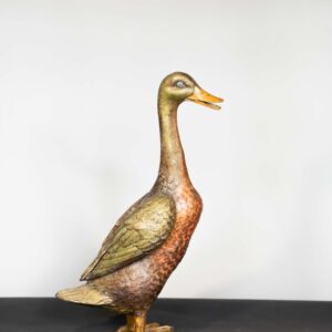 Bronze duck